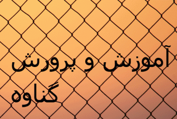 بیانیه فعالین اصلاح طلب ستاد دکتر روحانی