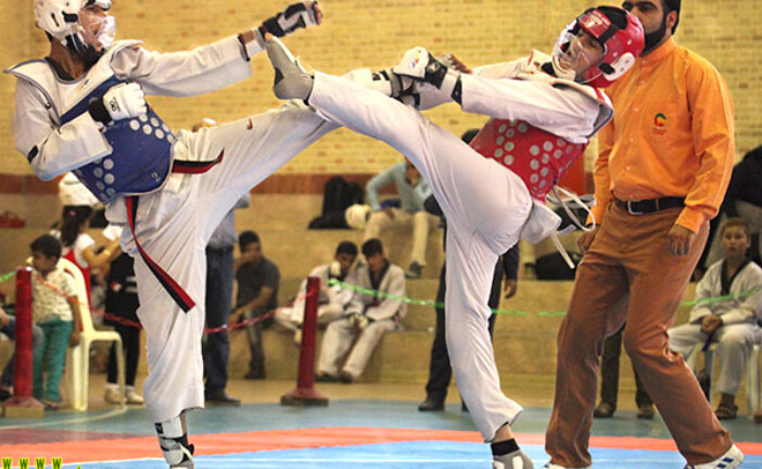 نادری قهرمان تکواندو نونهالان استان شد+ تصویر