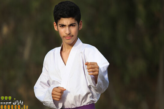 در مسابقات بین‌المللی کاراته تنها سلمان‌پور رنگ مدال را دید