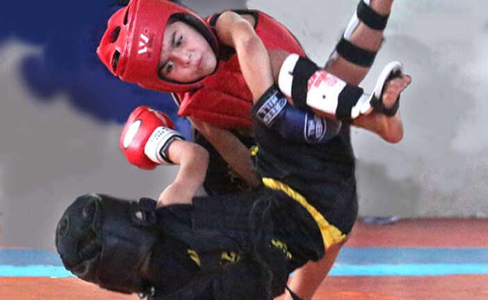 بوشکان قهرمان نان‌چوان ووشو استان شد