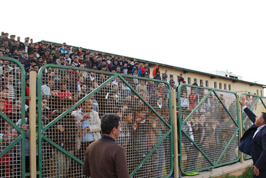 هیچ خبری از پرسپولیس نیست