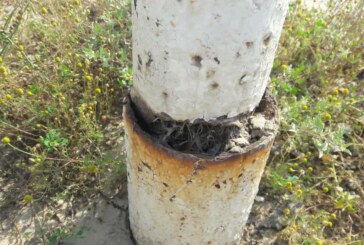 آینده فوتبال محلات گناوه چه خواهد شد ؟