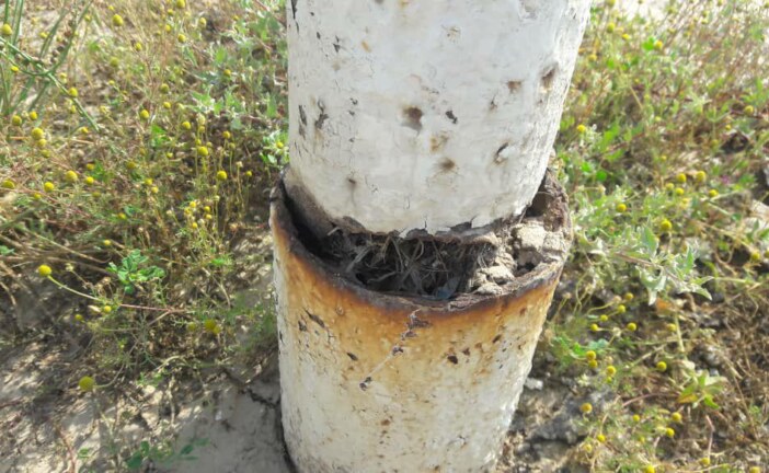 آینده فوتبال محلات گناوه چه خواهد شد ؟