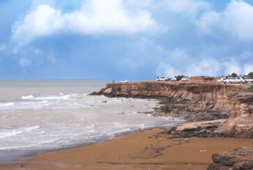 مجوز سایت میگو در شاه‌راه گردشگری گناوه