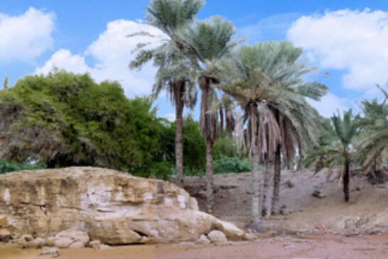 چاهک در خطر چاه