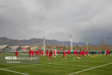 تیم ملی آنالیزور قوی می‌خواهد/ به سرمربی ایرانی هم فرصت بدهیم