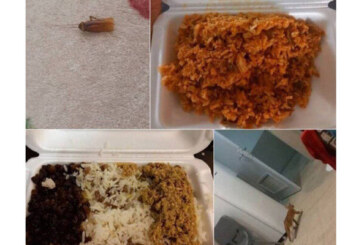 واکنش سرپرست فدراسیون به انتقاد ازسوسک درغذا وگربه دراتاق ورزشکار