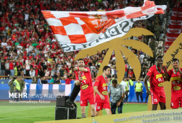 پاسخ عجیب یک متمول به درخواست درویش/ کل پرسپولیس را به من بدهید!