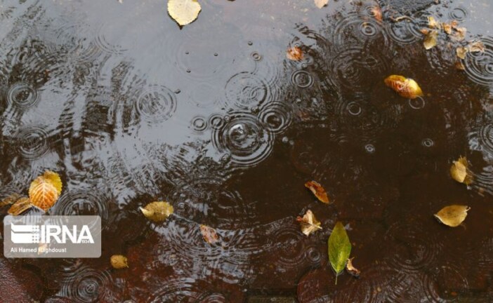 احتمال باران پراکنده در مناطق شمالی و مرکزی بوشهر