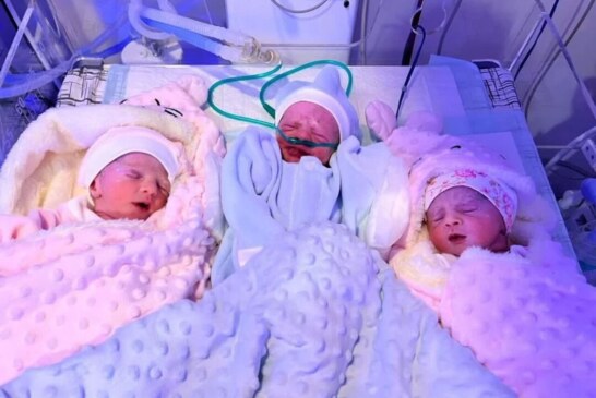 خانواده های چند قلو توسط کمیته امداد بوشهر حمایت می شوند