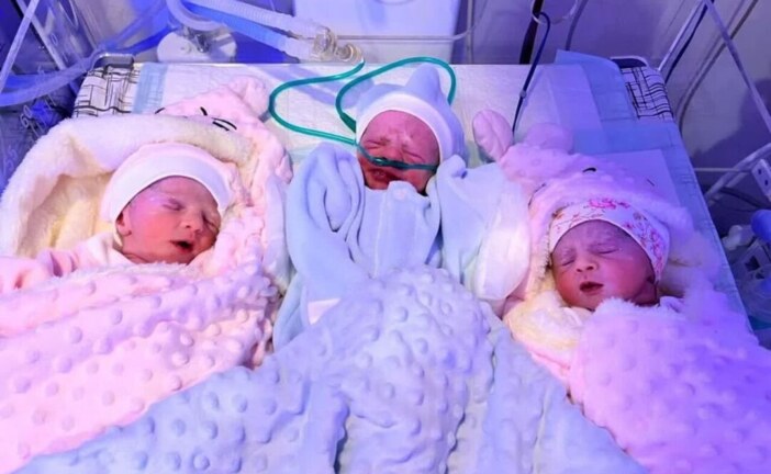 خانواده های چند قلو توسط کمیته امداد بوشهر حمایت می شوند