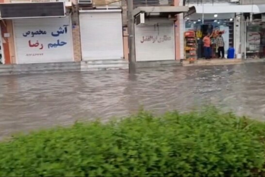 فیلم / آبگرفتگی معابر در بوشهر بعد از نخستین بارش پاییزی