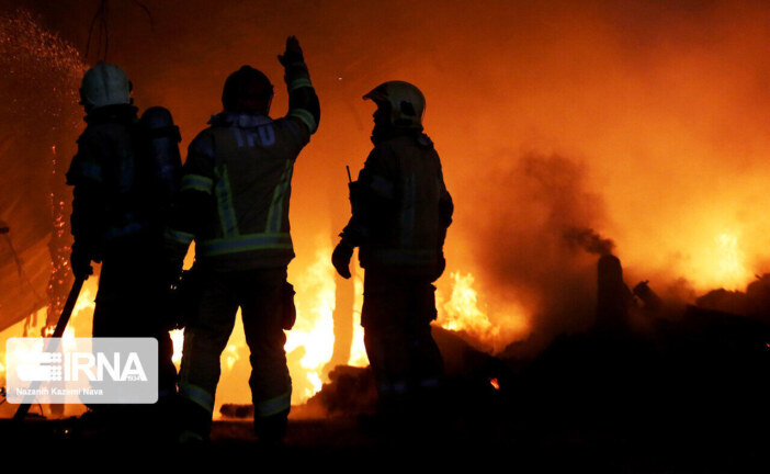 فیلم | آتش‌سوزی در نیزارهای حومه شهر چغادک بوشهر