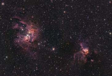 فیلم | کاوش کودکان عالیشهری در آسمان شب