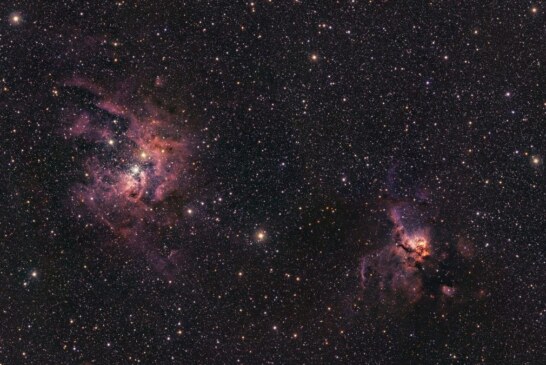 فیلم | کاوش کودکان عالیشهری در آسمان شب