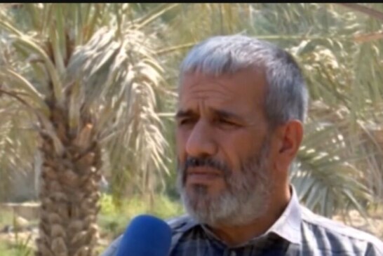 نخلدار تنگستانی محصول باغ خود به مردم غزه اهدا کرد