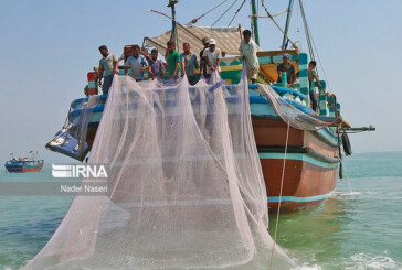 «پرساین» ۳ فروند شناور متخلف را به دام انداخت