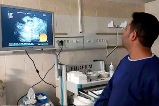 نخستین نمونه‌برداری توده پانکراس در بوشهر انجام شد