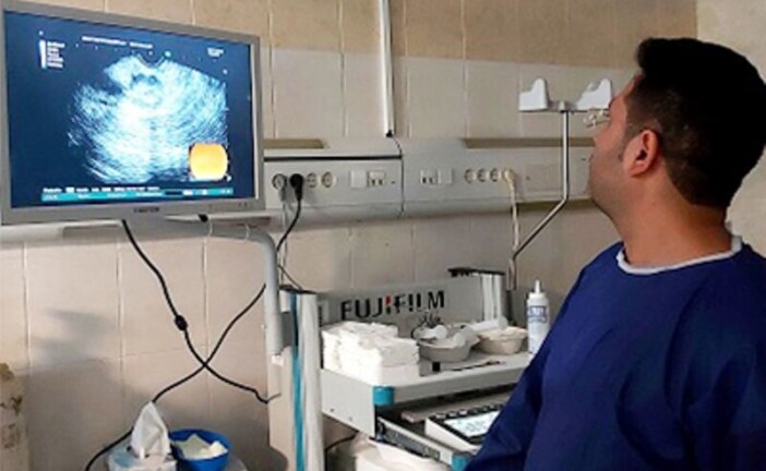 نخستین نمونه‌برداری توده پانکراس در بوشهر انجام شد